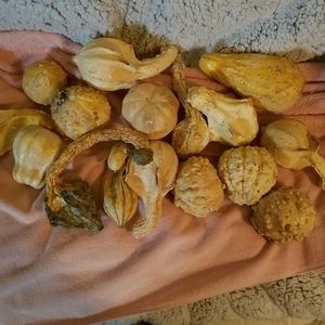 Decorative fall collection gord 
16 pieces 
Please